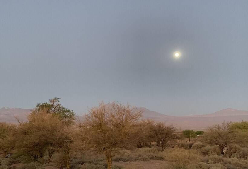 ホテル Sami Atacama