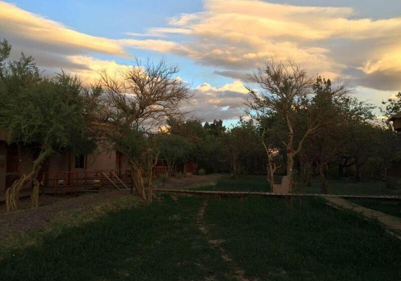 ホテル Sami Atacama