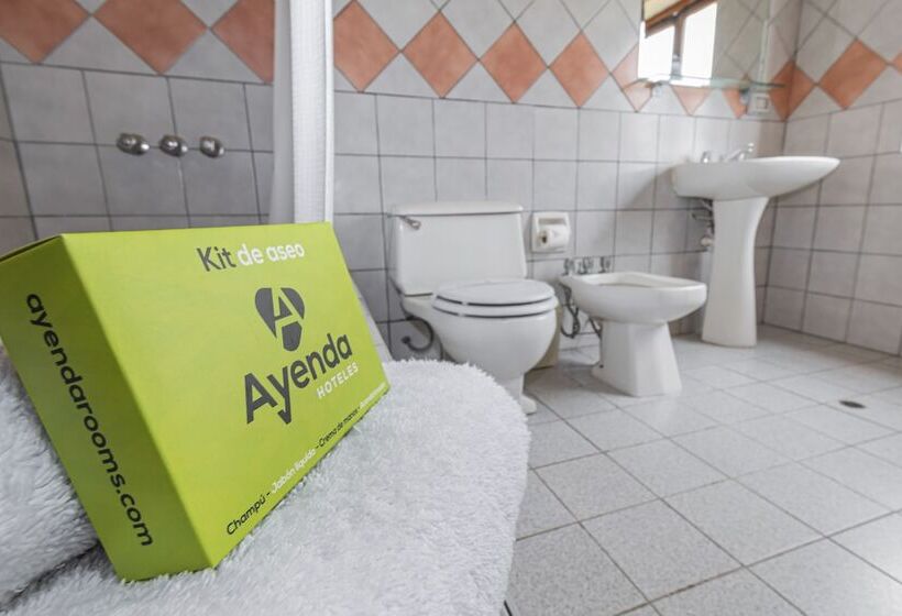 Отель San Isidro Inn