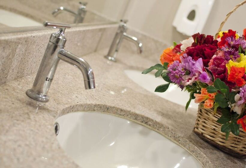 Отель San Isidro Inn