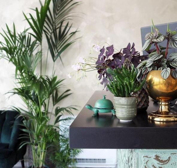 בית מלון כפרי Sebel