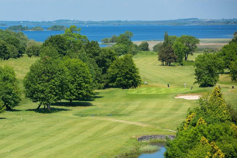 酒店 Sheraton Athlone