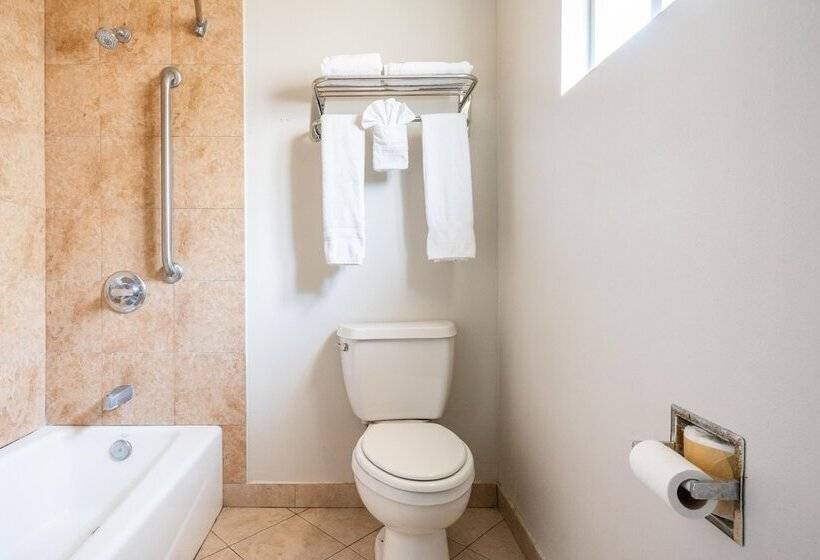 فندق Solaire Inn & Suites