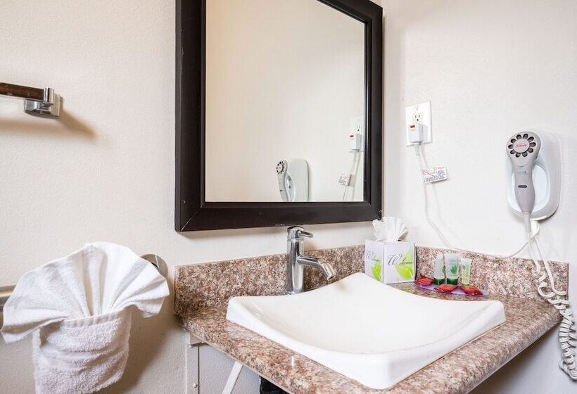 فندق Solaire Inn & Suites