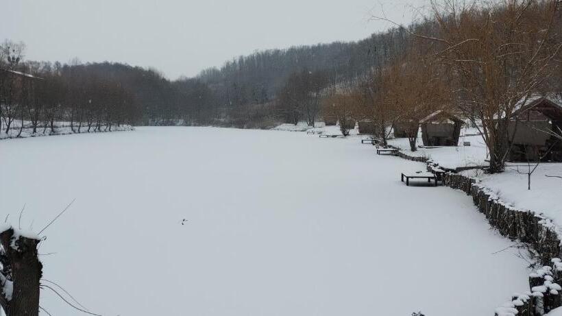 הוסטל шафран