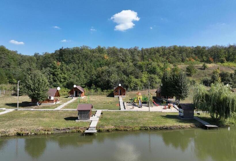 הוסטל шафран