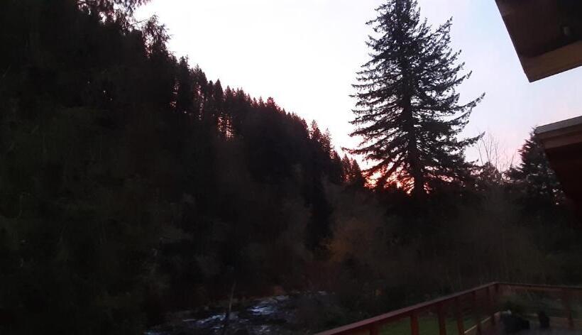 Angels Rest B&b Lavender Farm