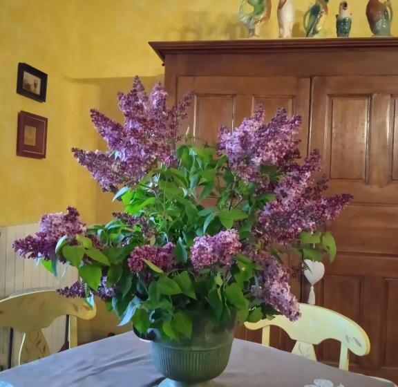 Bed and Breakfast Chambre Dans Prieuré De Caractère Xviii Siècle