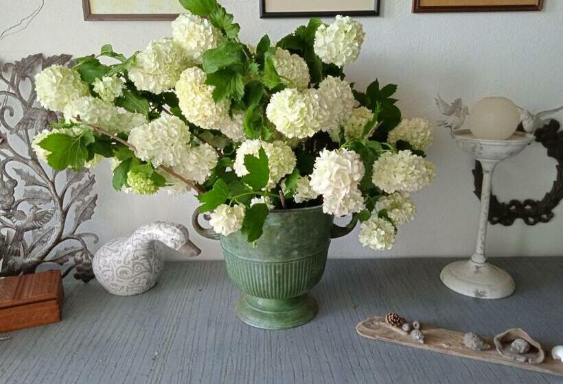 ベッドアンドブレックファースト Ensemble De Deux Chambres Pour Famille