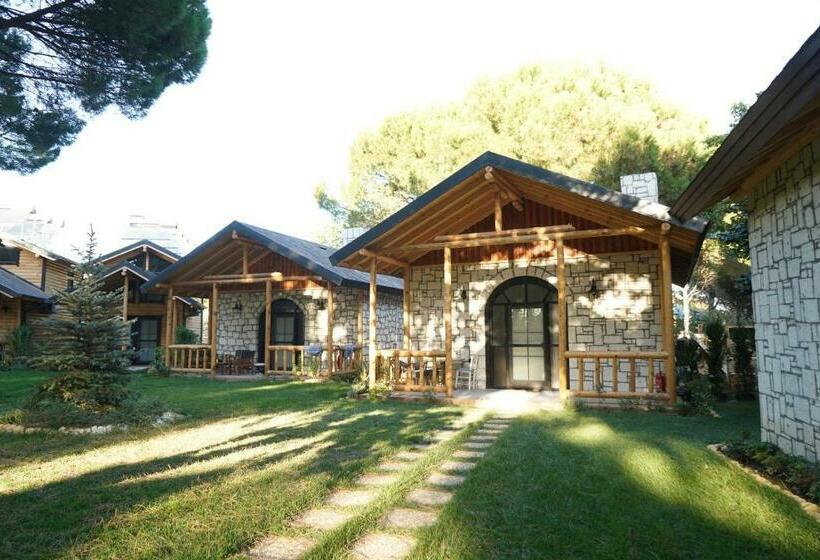 Bed and Breakfast Pino Mar Luxury Bungalows