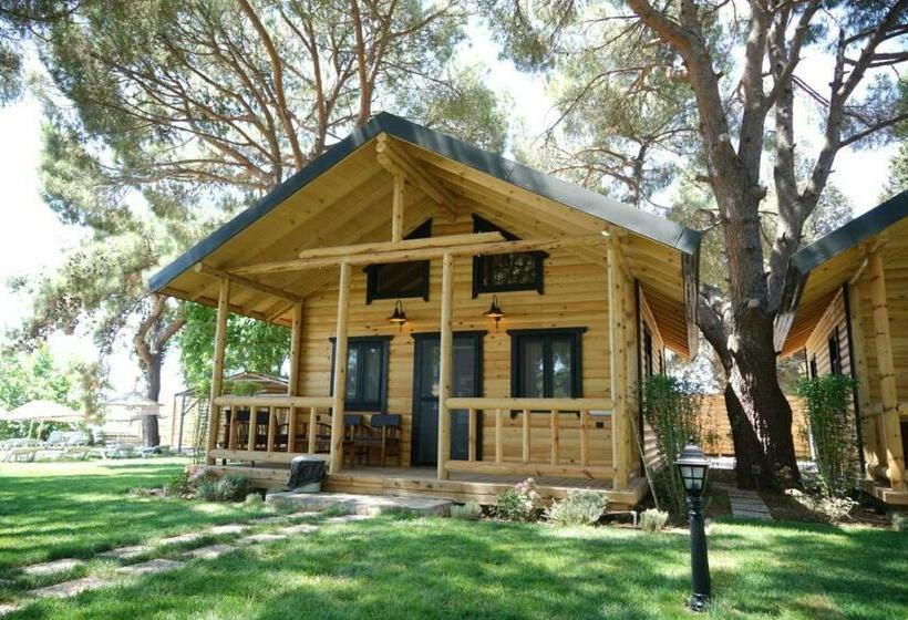 Bed and Breakfast Pino Mar Luxury Bungalows