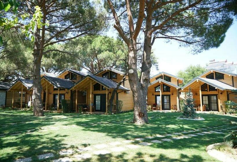 Bed and Breakfast Pino Mar Luxury Bungalows