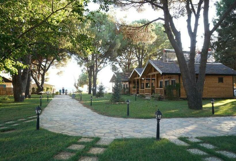 Bed and Breakfast Pino Mar Luxury Bungalows