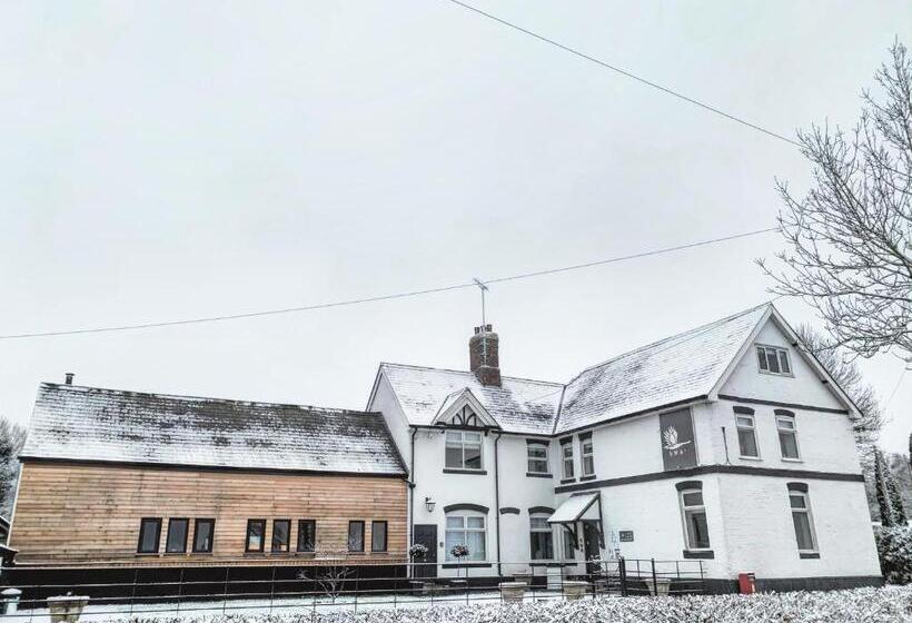 مبيت وإفطار The Swan Inn Letton