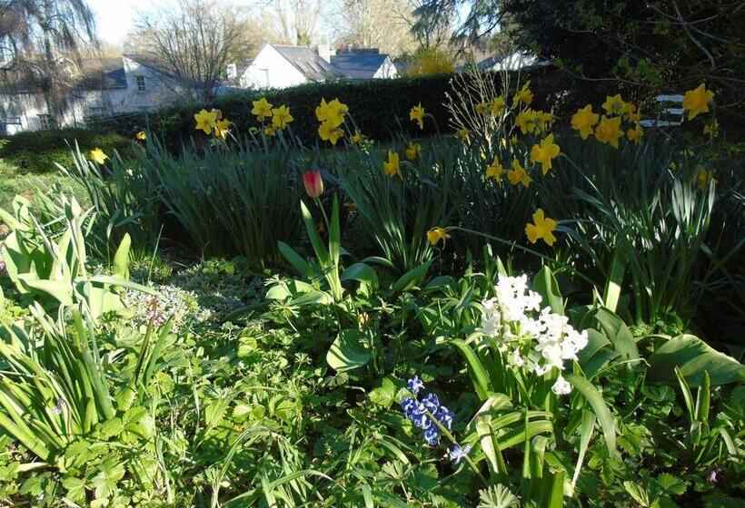 Bed and Breakfast Une Nuit Sur Loire
