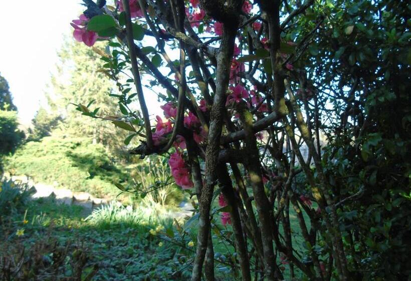 Bed and Breakfast Une Nuit Sur Loire