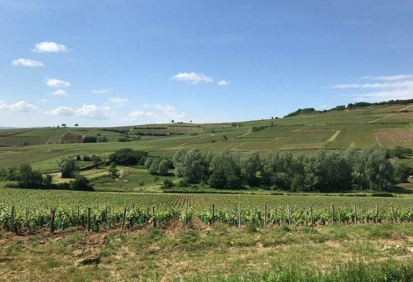 Bed and Breakfast Villa Figue Blanche