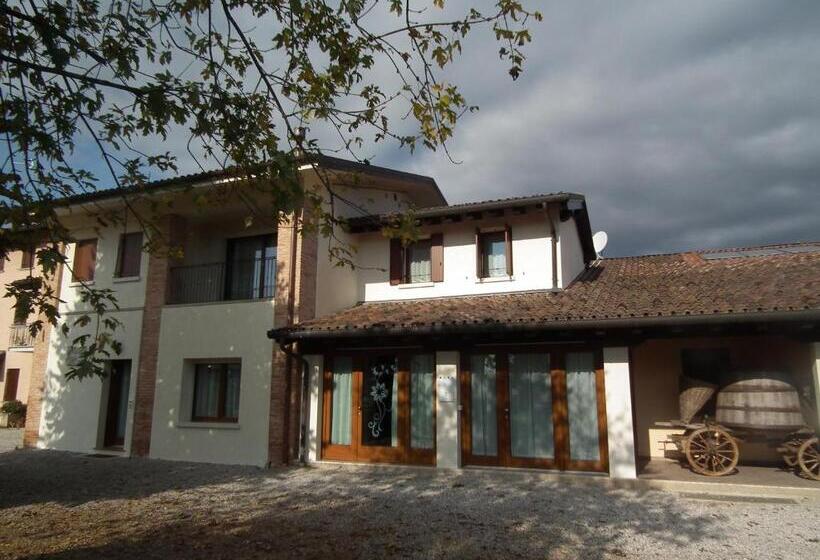 호텔 Agriturismo Vidalli Colvidor