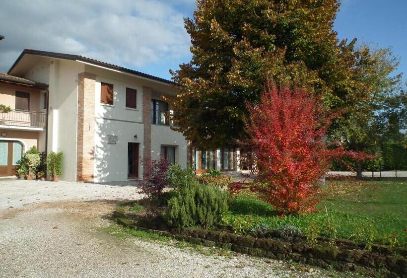 호텔 Agriturismo Vidalli Colvidor