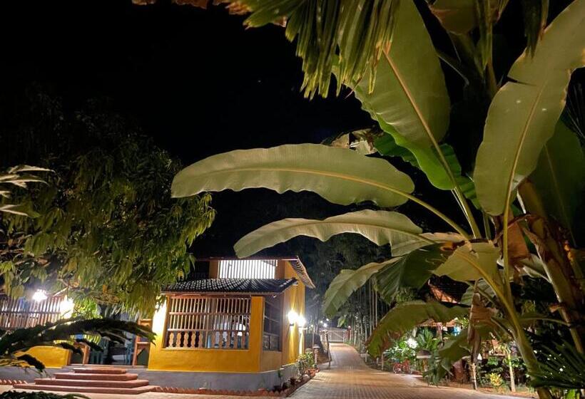 בית מלון כפרי Areca County