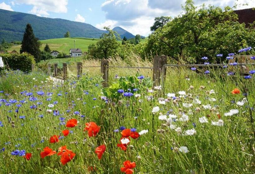 בית מלון כפרי Baders Krone