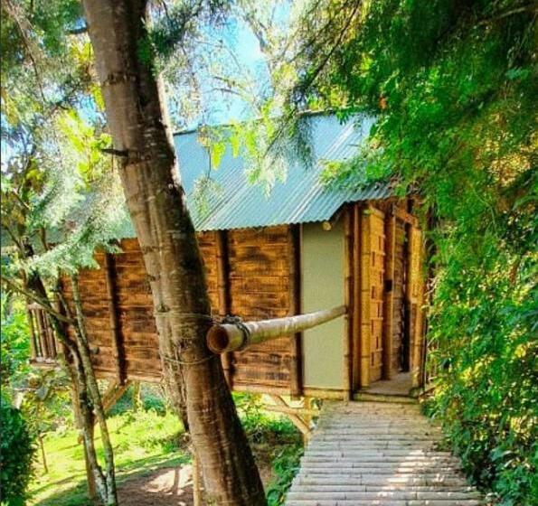 فندق Cabañas Rústicas El Viejo Tambo