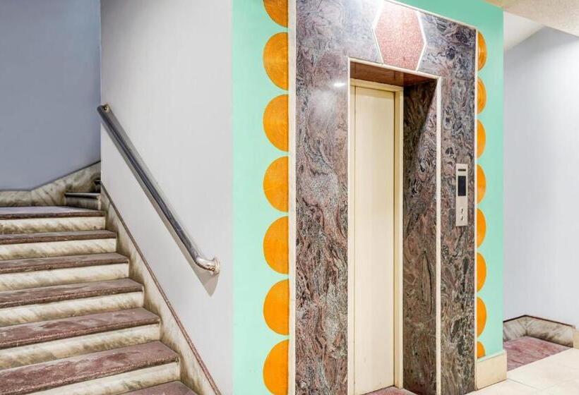 ホテル Capital O 79766  Star International