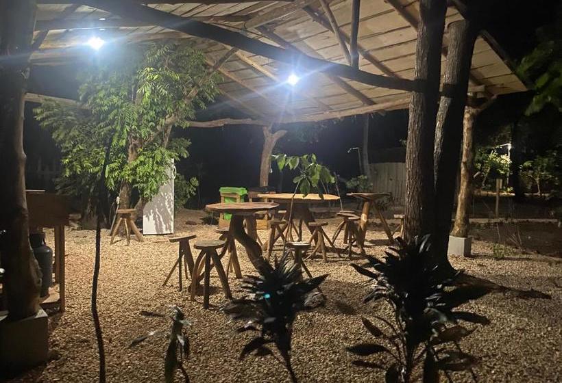 فندق Finca Avellanas