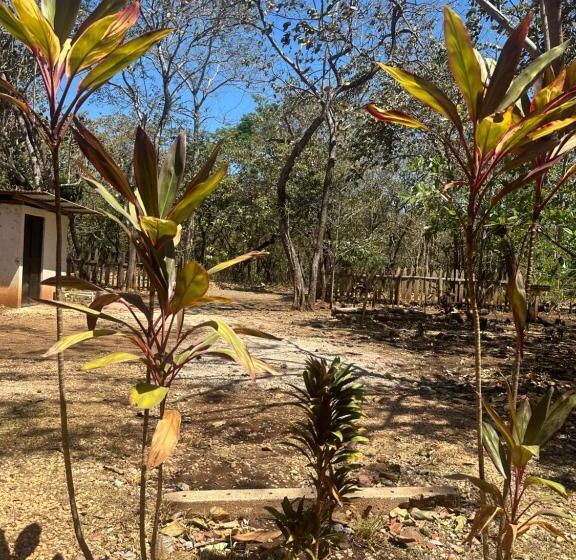 فندق Finca Avellanas