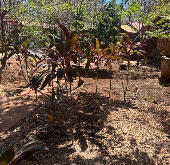 فندق Finca Avellanas