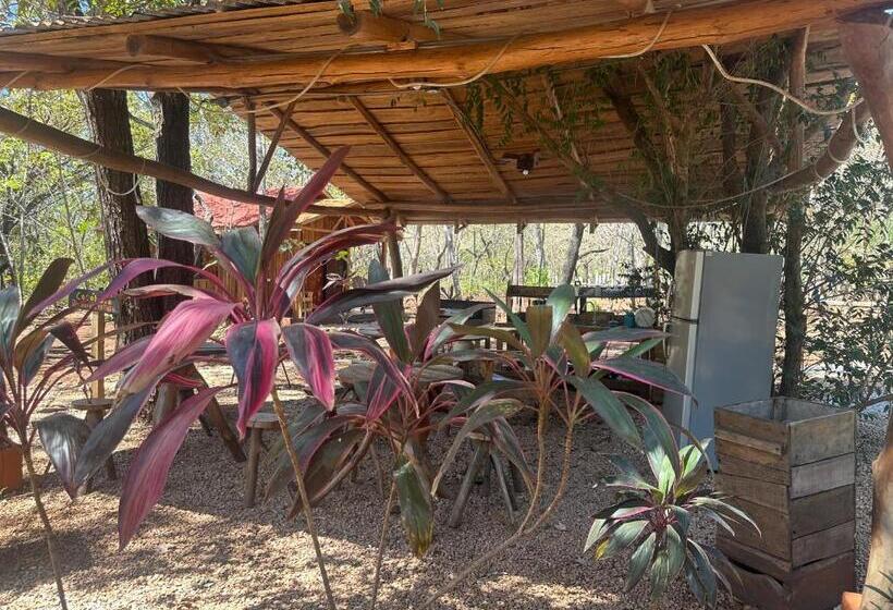 فندق Finca Avellanas