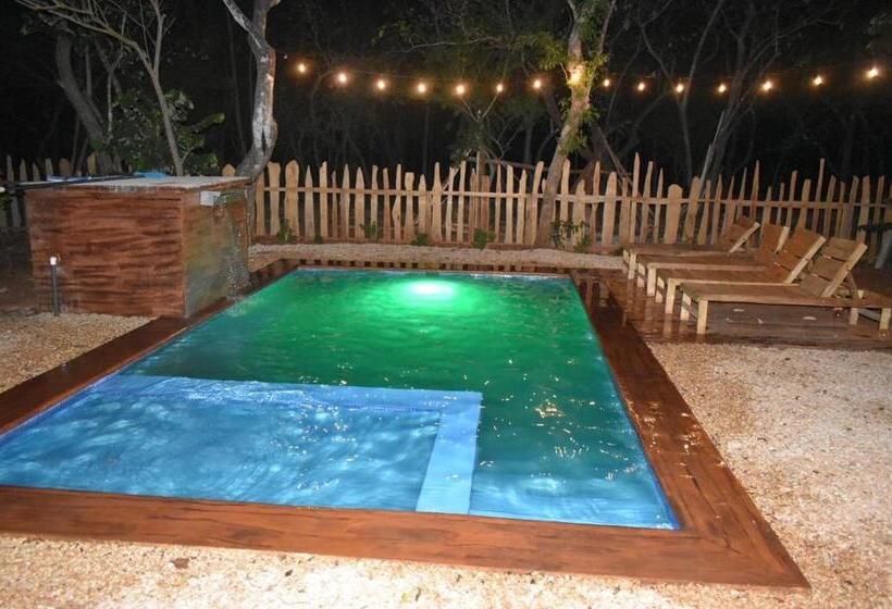 فندق Finca Avellanas