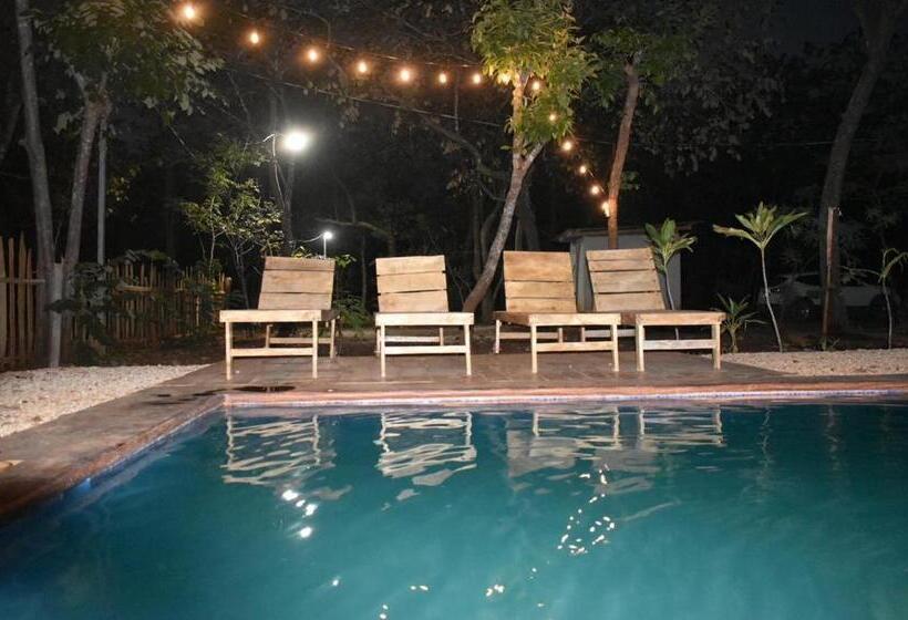 فندق Finca Avellanas