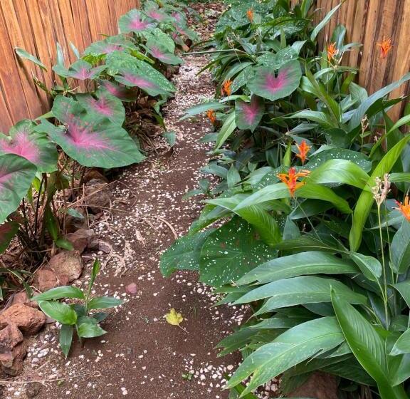 فندق Finca Avellanas