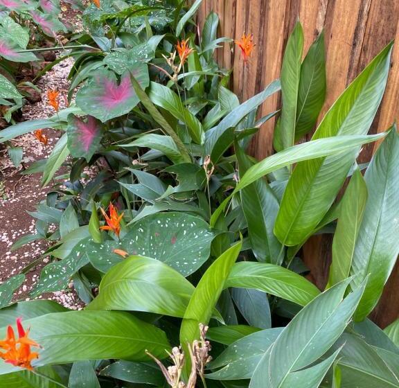 فندق Finca Avellanas