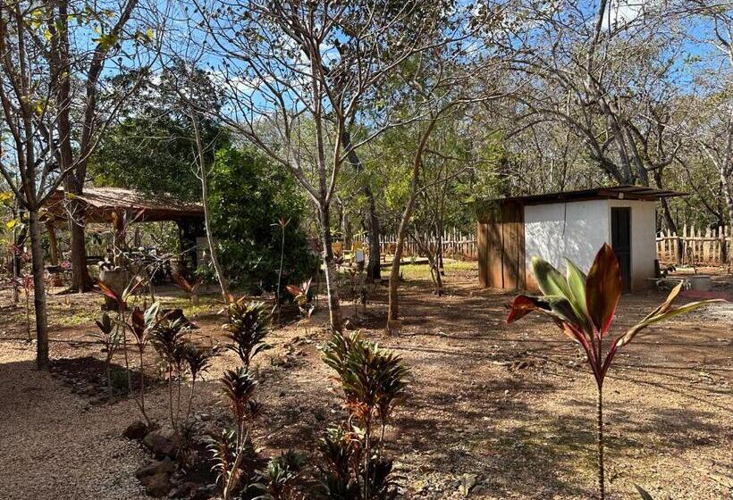 فندق Finca Avellanas