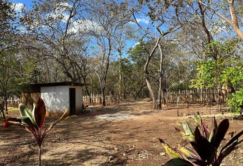 فندق Finca Avellanas