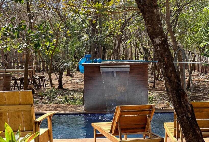 فندق Finca Avellanas