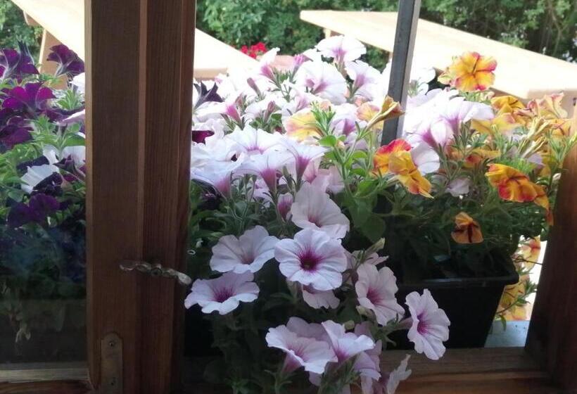 호텔 Gasthaus Zum Späth