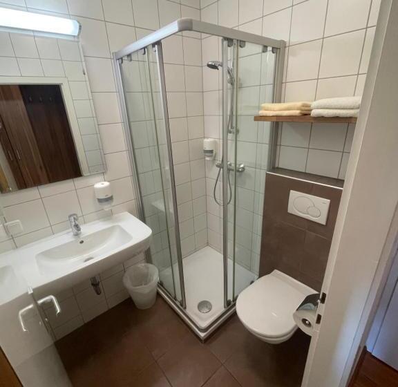 Отель Gasthof Wösner