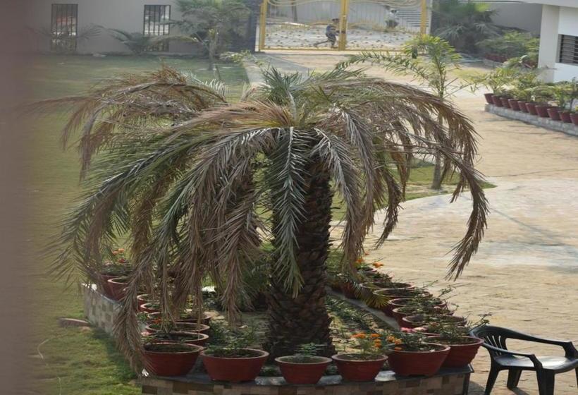 Отель Golden Palms