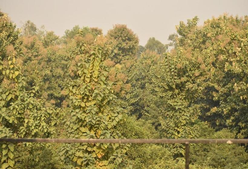 Отель Golden Palms