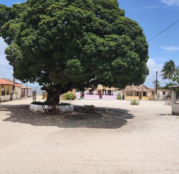 בית מלון כפרי Mangue Seco Fantasias Do Agreste