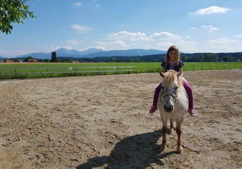 ホテル Mühlberger Hof