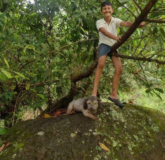 فندق Cabaña Nido El Gorrión