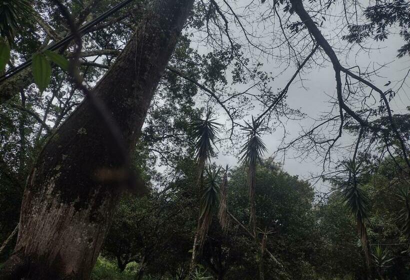 فندق Cabaña Nido El Gorrión