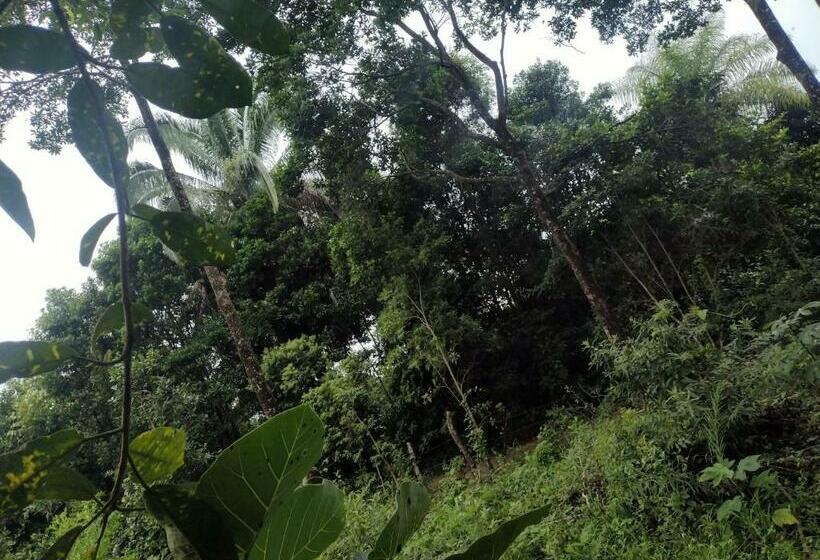 فندق Cabaña Nido El Gorrión