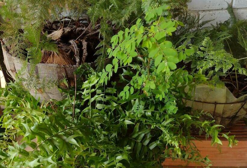 فندق Cabaña Nido El Gorrión