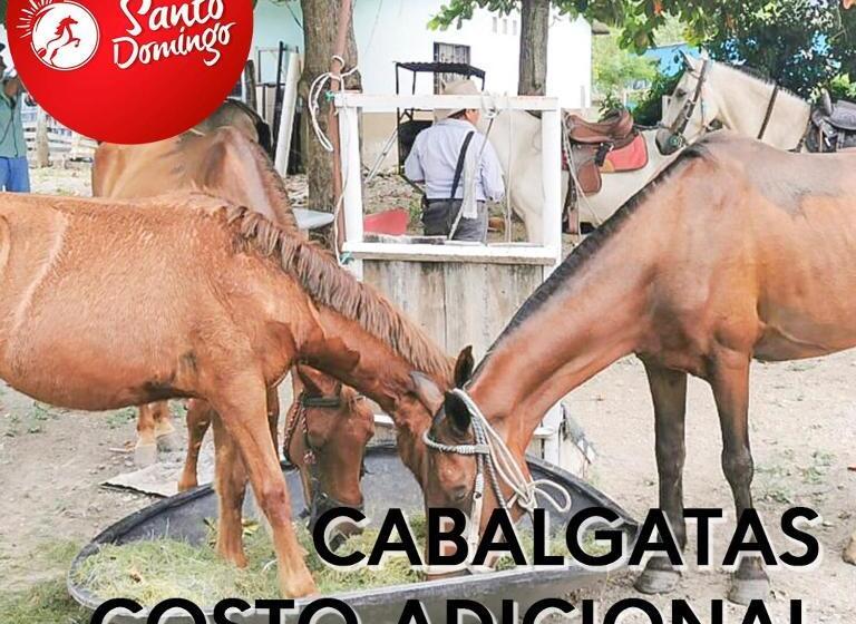 ホテル Santo Domingo Centro Vacacional