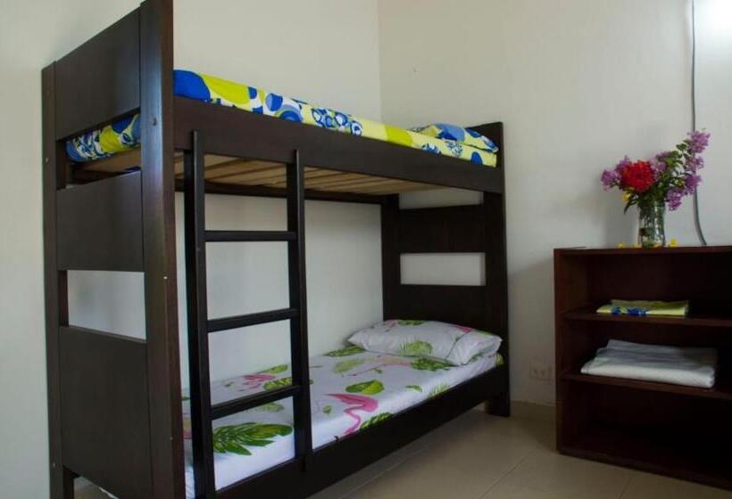 ホテル Santo Domingo Centro Vacacional